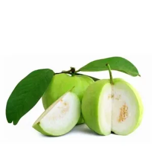 Guava Premium [পেয়ারা]